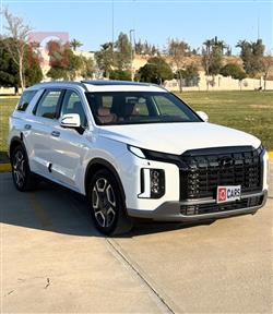 هيونداي باليسيد